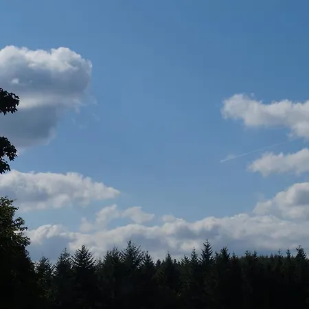 ホテル Landgasthof Restaurant Laibach 2*