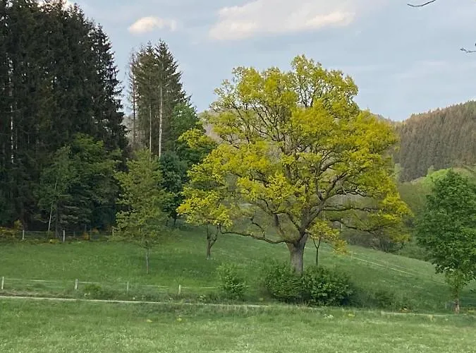 Hotel Landgasthof Restaurant Laibach 2*