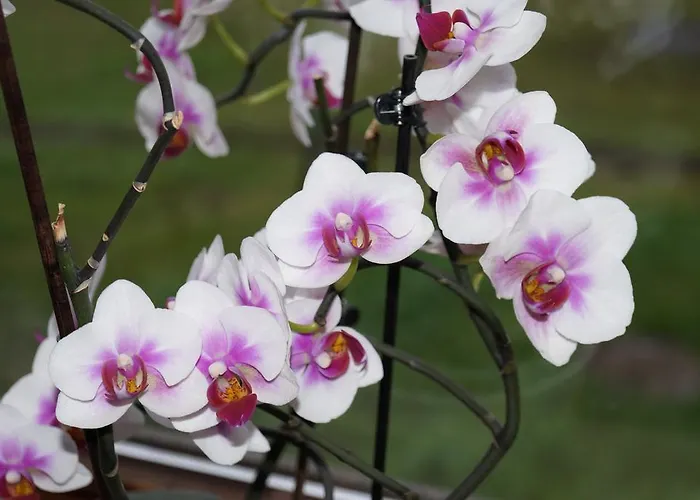 Landgasthof Restaurant Laibach Hotel Bad Berleburg